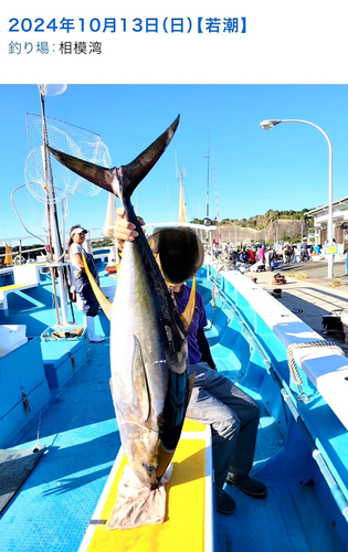 キハダマグロの釣果