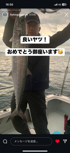 サワラの釣果