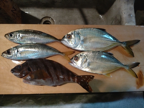 鹿島港魚釣園