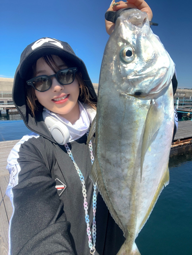 シマアジの釣果