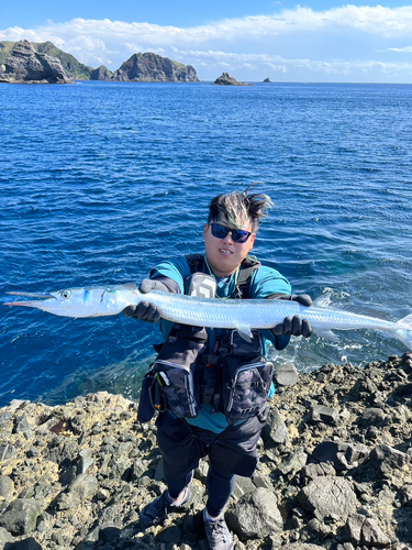 オキザヨリの釣果