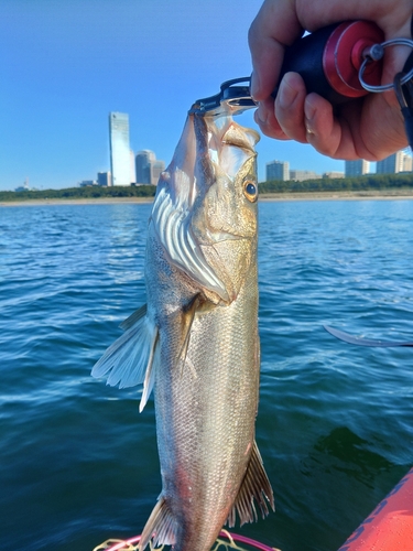 幕張海浜公園