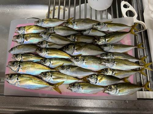 鳥居崎海浜公園