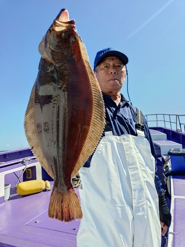 ヒラメの釣果