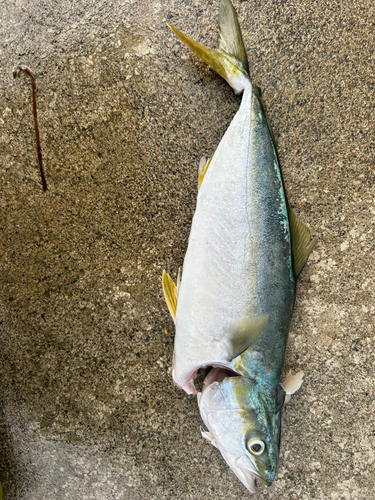 野辺地湾