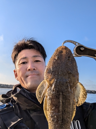 マゴチの釣果