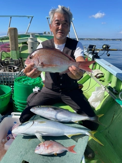 マダイの釣果