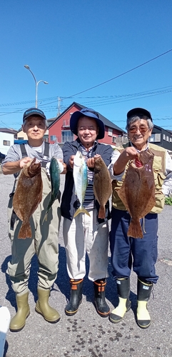 ヒラメの釣果