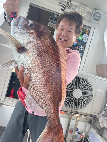 マダイの釣果