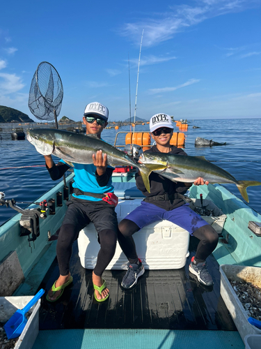 ブリの釣果