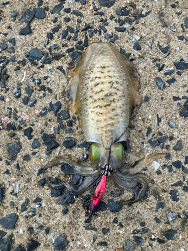 福の浦漁港