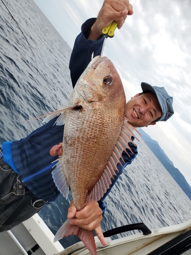 マダイの釣果