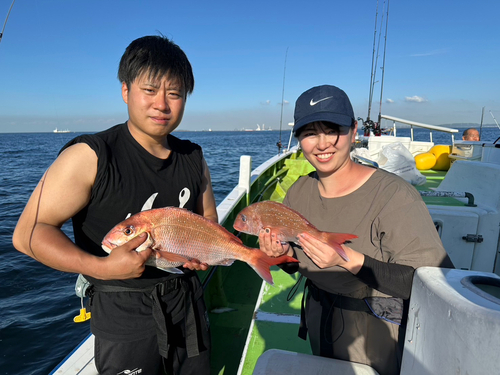 マダイの釣果