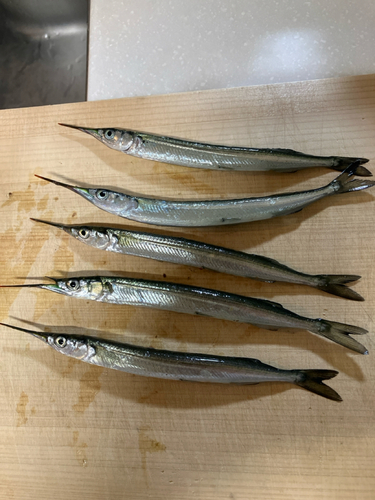 鳴尾浜臨海公園海づり広場