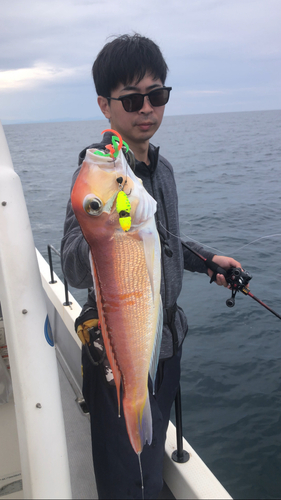 アマダイの釣果