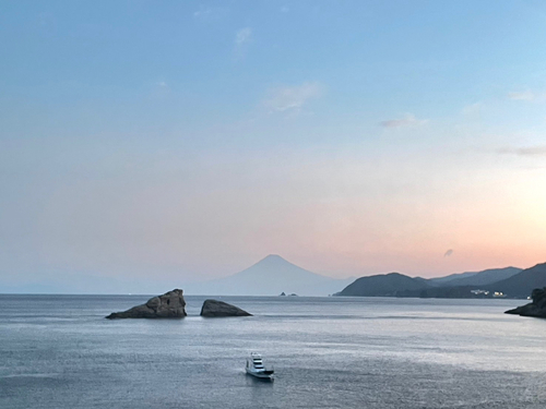 カツオの釣果