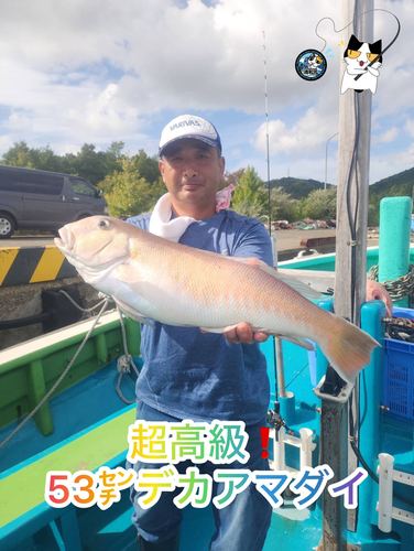 シロアマダイの釣果