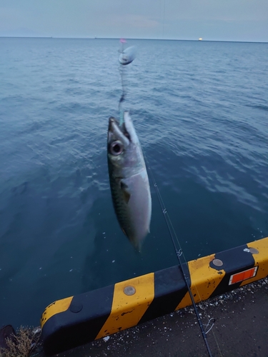 内浦湾（北海道）