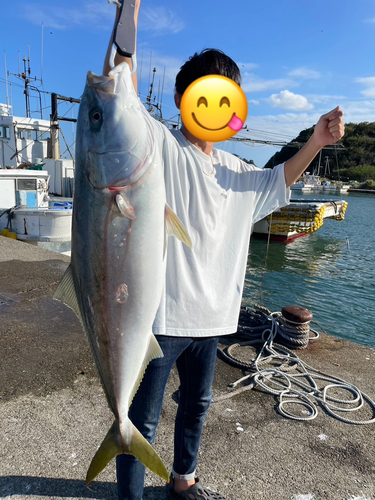 ツバスの釣果