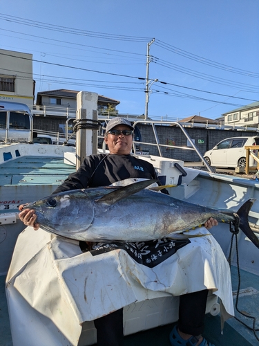 キハダマグロの釣果