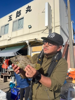 カワハギの釣果