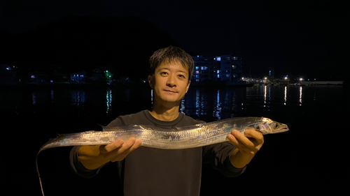 タチウオの釣果