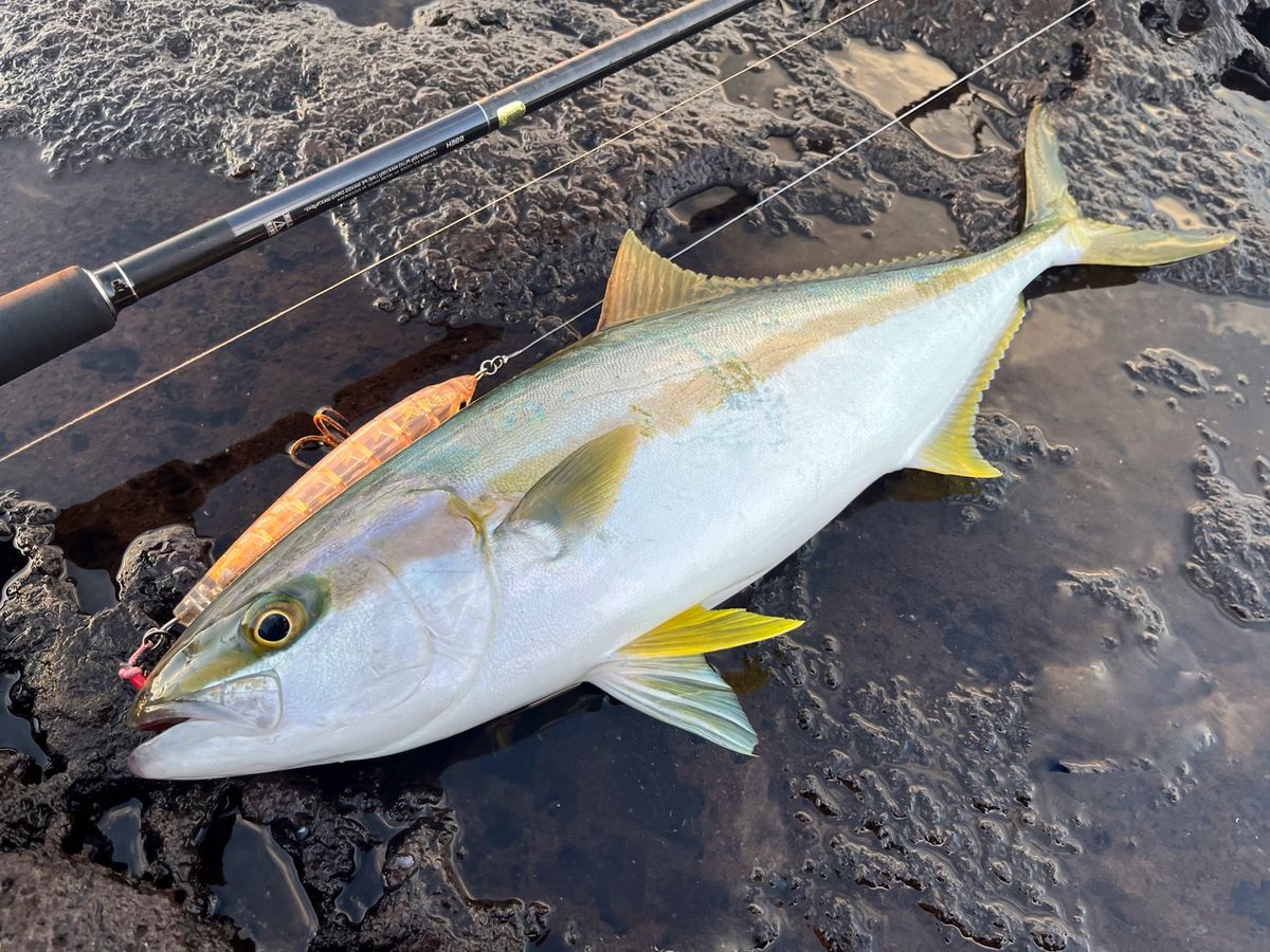 信田 恵輔（兄やん）さんの釣果 2枚目の画像