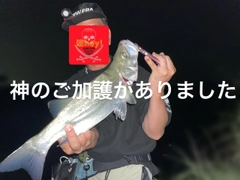 フッコ（ヒラスズキ）の釣果