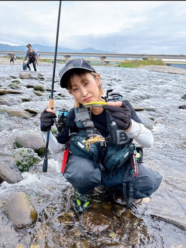 アユの釣果