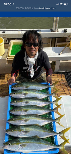 メジロの釣果