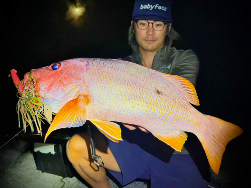 イッテンフエダイの釣果