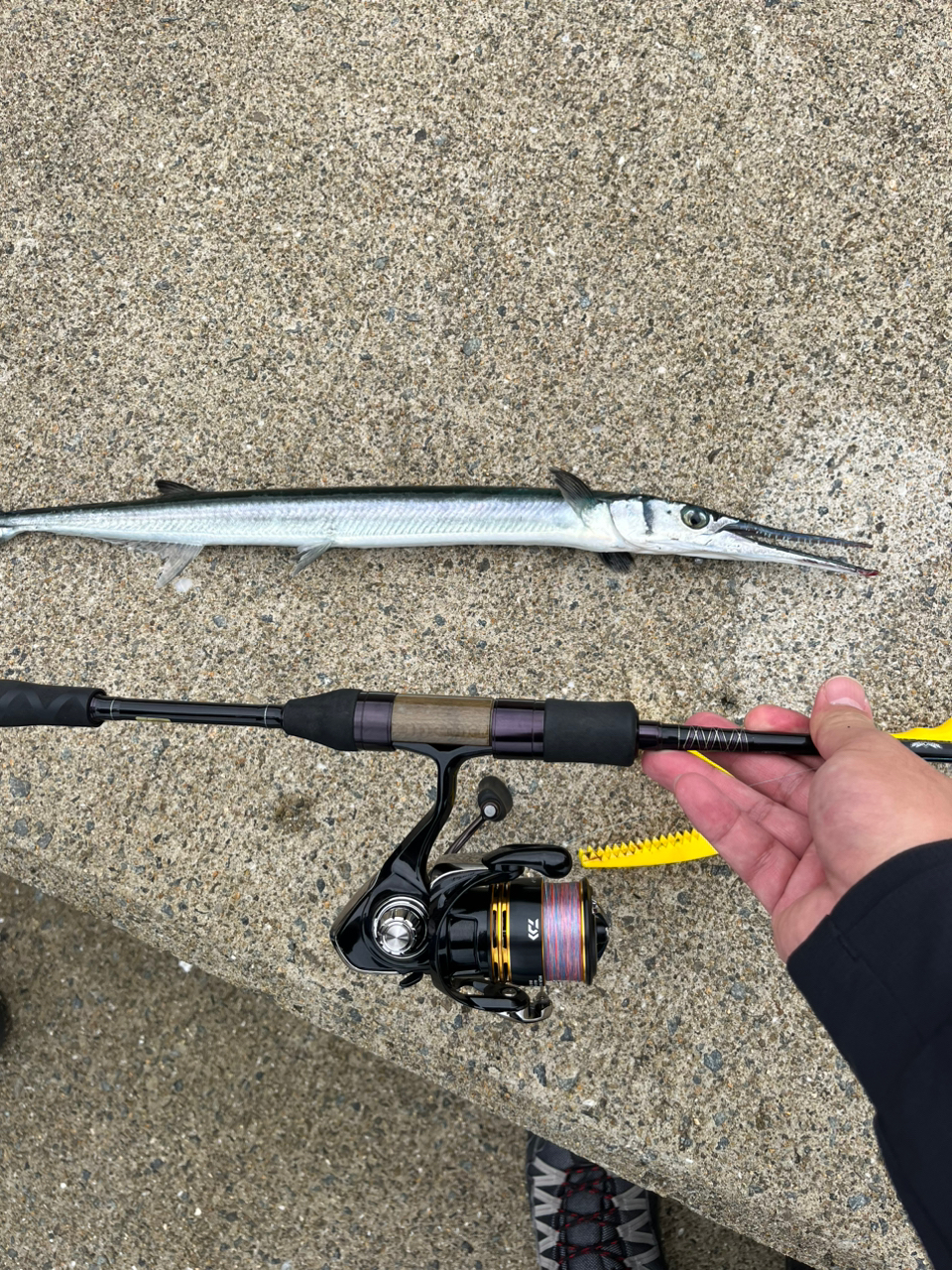 DAIWA 13ハートランド AGS 6102LFS-AGS13の最安値・インプレ