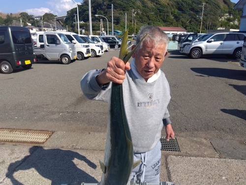 ワラサの釣果