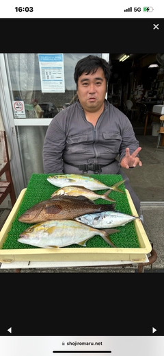 イナダの釣果