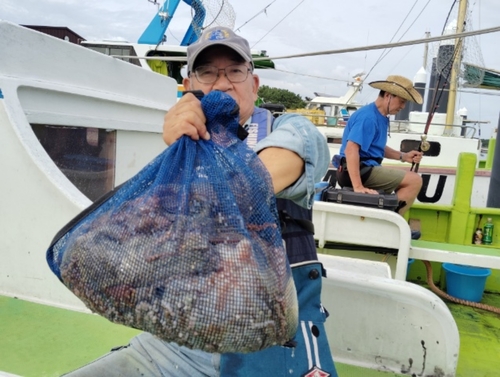 マダコの釣果