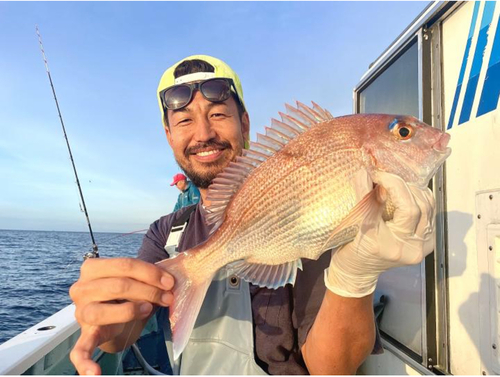 マダイの釣果