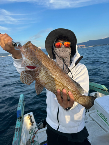 オオモンハタの釣果