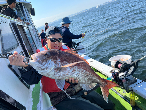 マダイの釣果