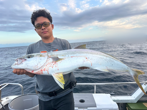 ヒラマサの釣果