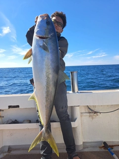 ヒラマサの釣果