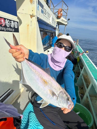 カンパチの釣果