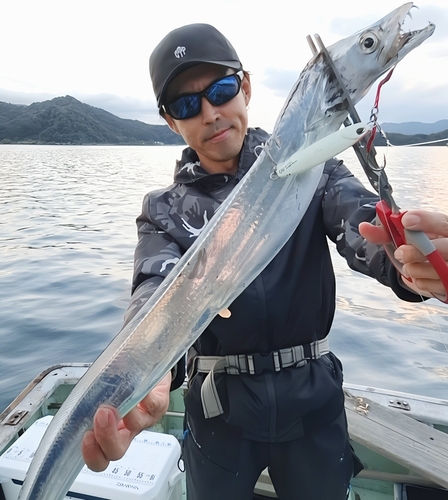 タチウオの釣果