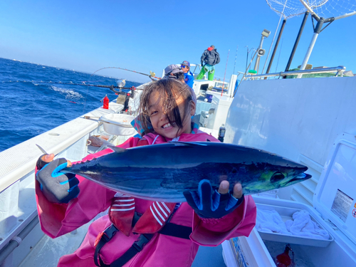 カツオの釣果