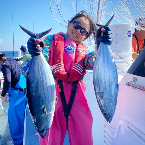 カツオの釣果