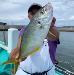 シマアジの釣果