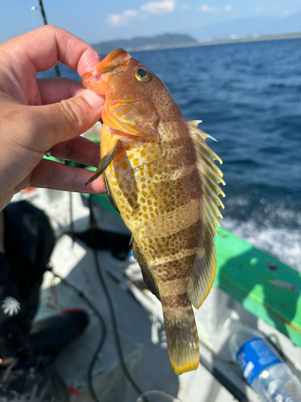 アキ130さんの釣果 3枚目の画像