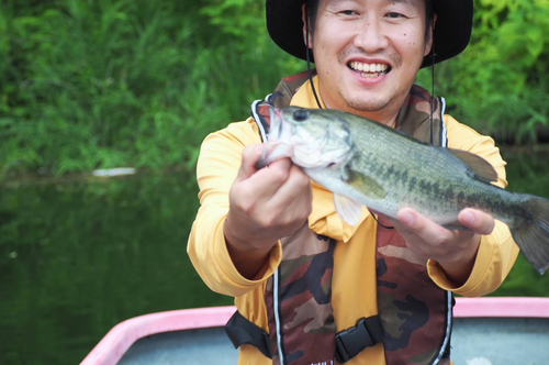 ラージマウスバスの釣果