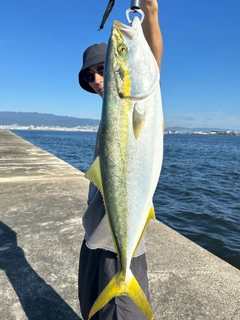 メジロの釣果