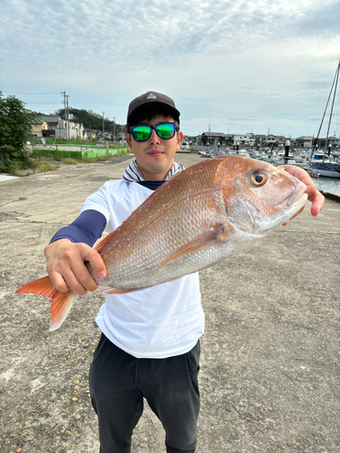 タイの釣果