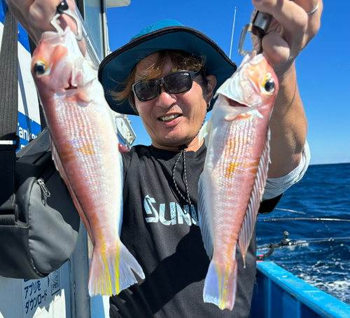 アマダイの釣果